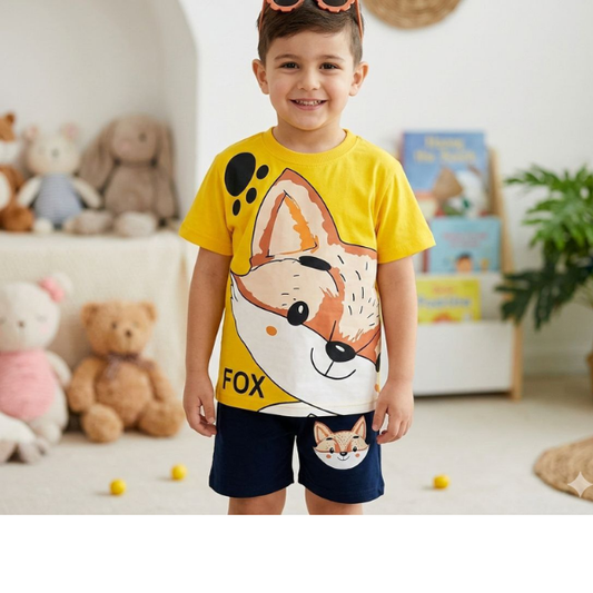 Boys T-shrit & pant Set