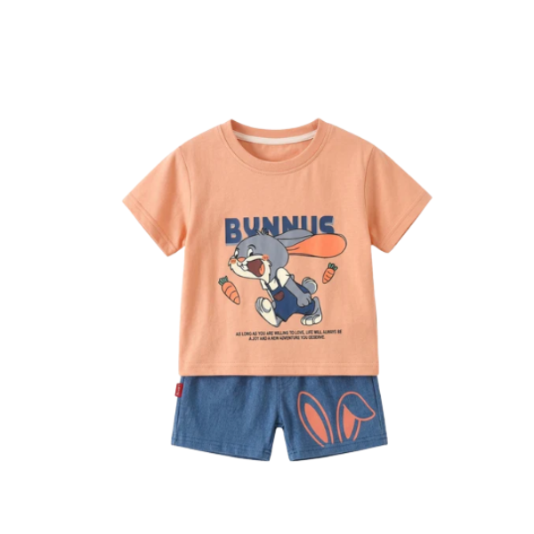 Boys T-shrit & pant Set