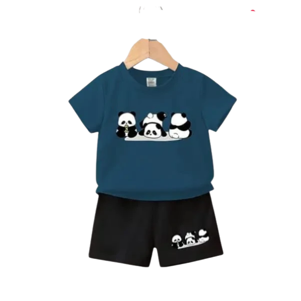 Boys  T-shrit & pant Set