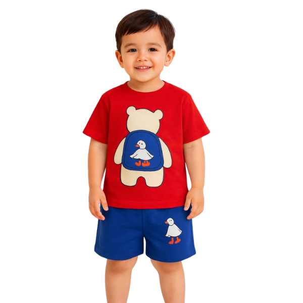 Boys  T-shrit & pant Set